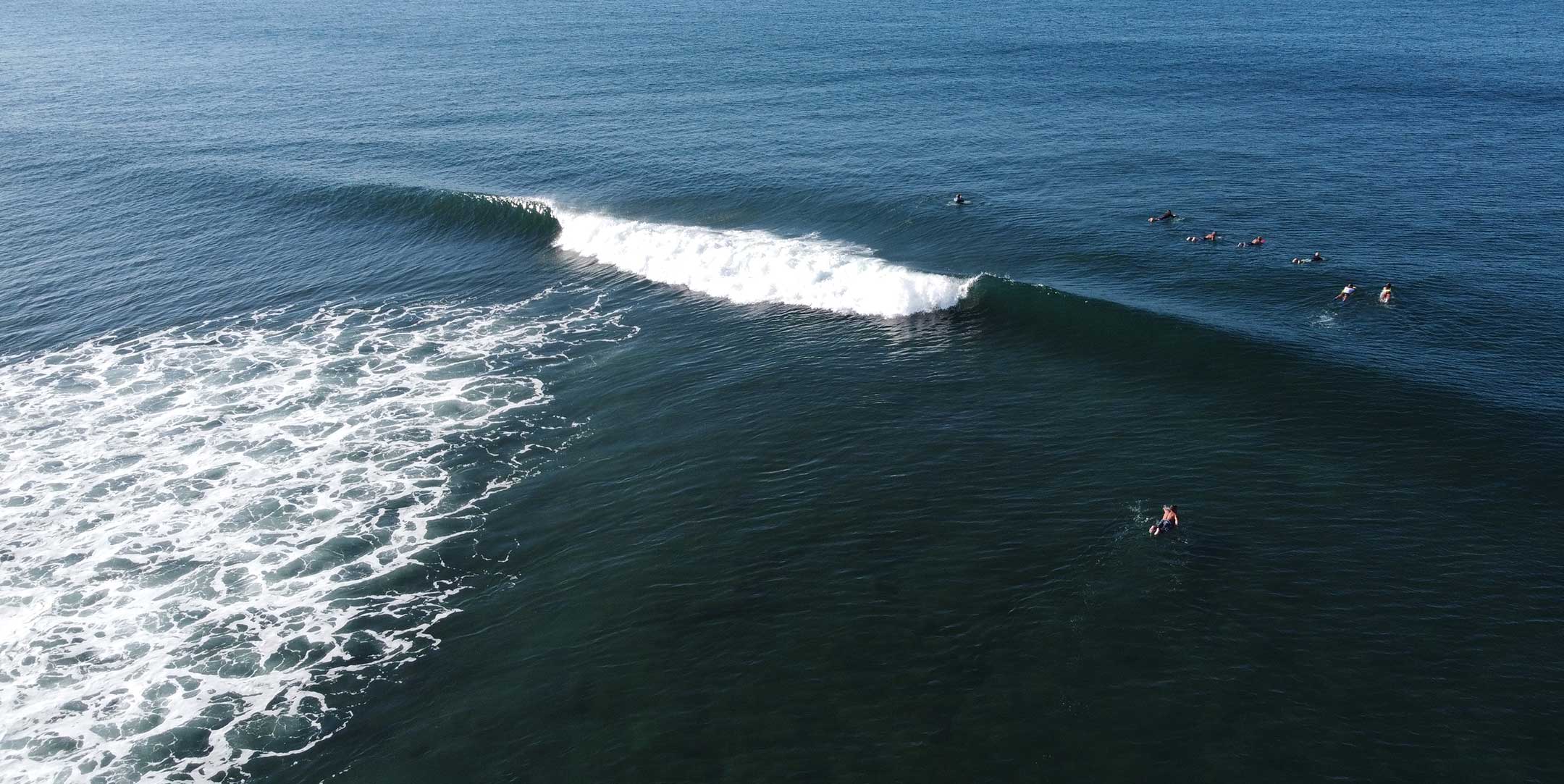 Miramar SurfCamp photo 2