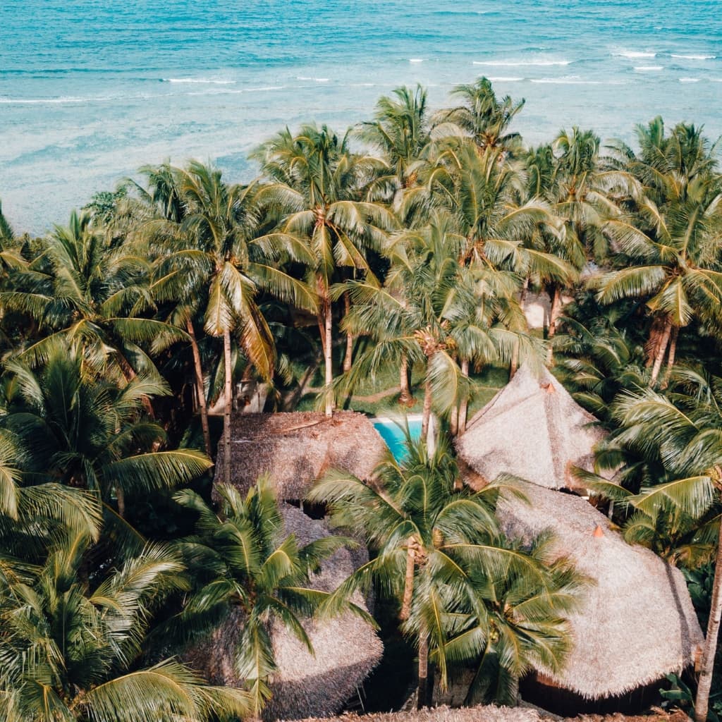 Punta Punta Surf Retreat photo 3